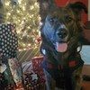 jaxsmomma420